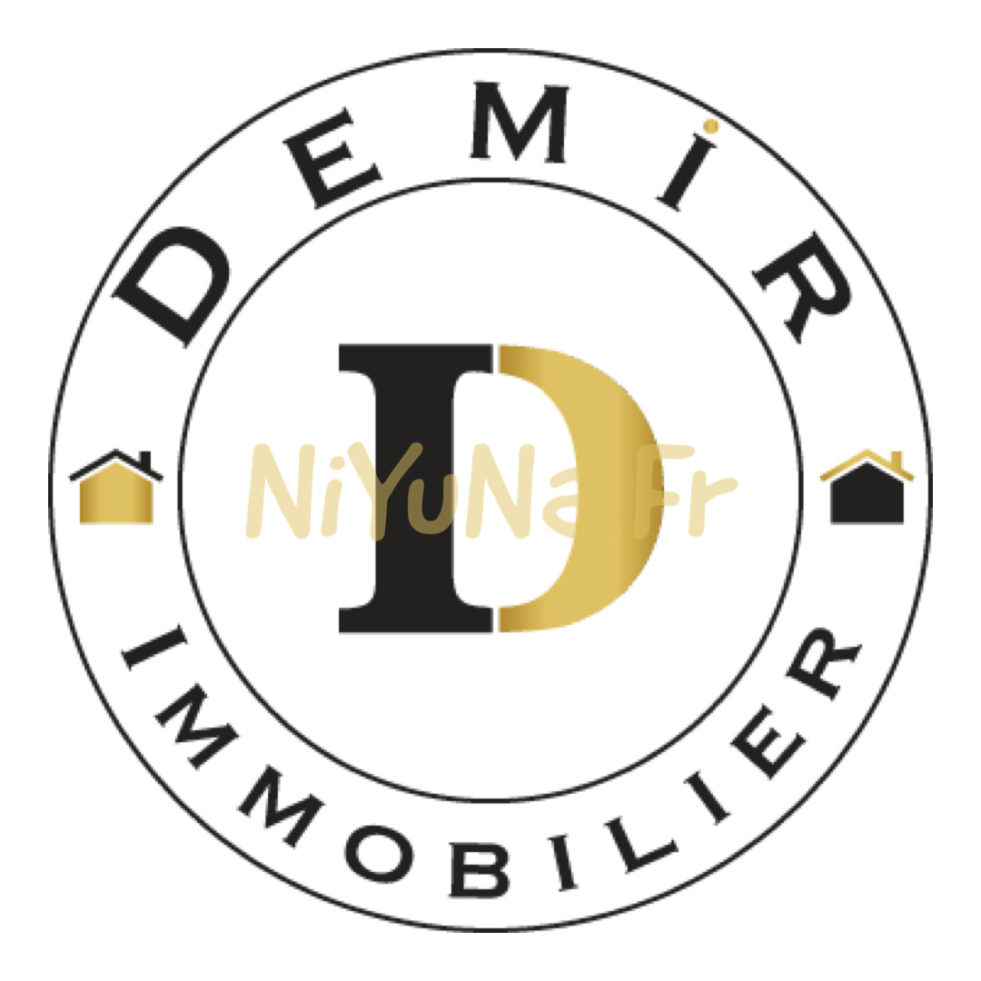 Logo Demir Immobilier Noir Et Doré