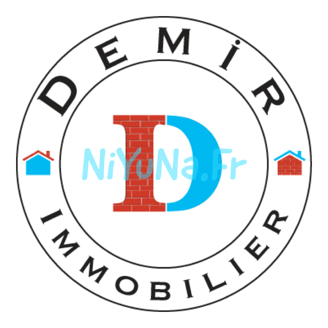 Logo Demir Immobilier Brique Et Bleu